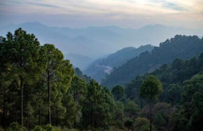The Pine Trails I Serviced Villa I Toy Train I Best Seller I Guaranteed Best Price I Kasauli By Exotic Stays